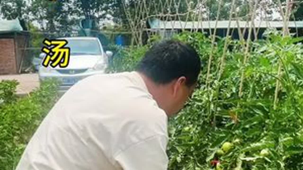 河南特色美食茄子汤，煎茄子细粉汤，茄子裹面粉煎至金黄。 只有我们河南的大青茄子加荆芥才能做出这个味道，你有多久没有喝过了，与炒香的西红柿、粉条同煮，最后加入荆芥和小磨香油，味道绝了。#煎茄子汤 ...