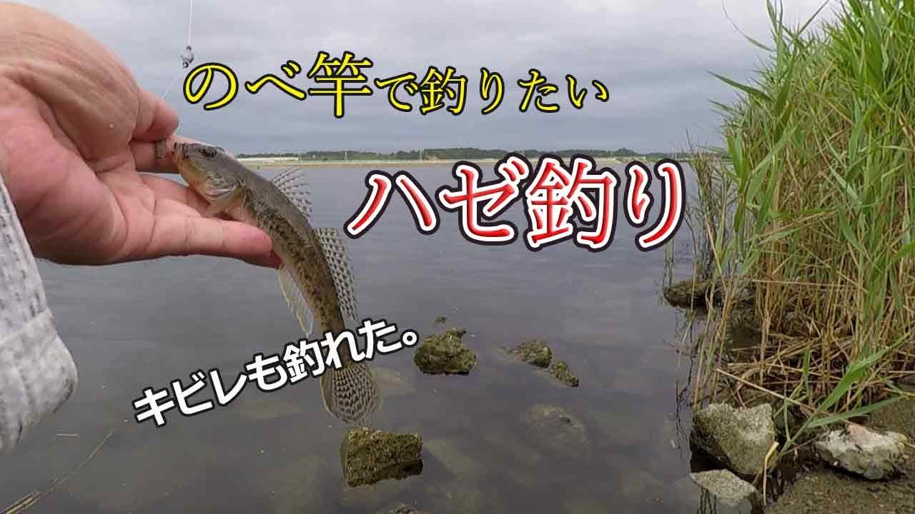 のべ竿でハゼが釣りたい　涸沼のハゼ釣り　【小物釣り】