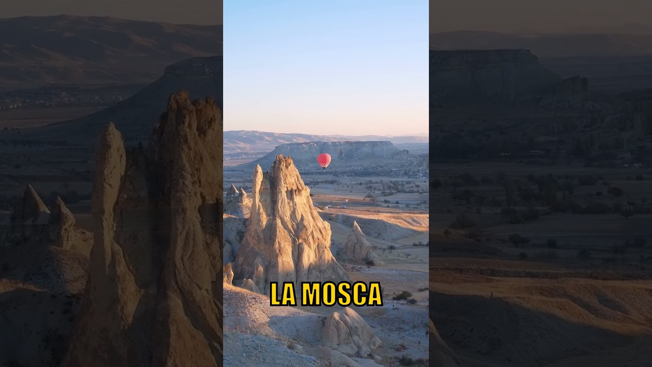 Existe un hongo que transforma moscas en "estatuas vivientes" - Las petrifica en vida antes de brota