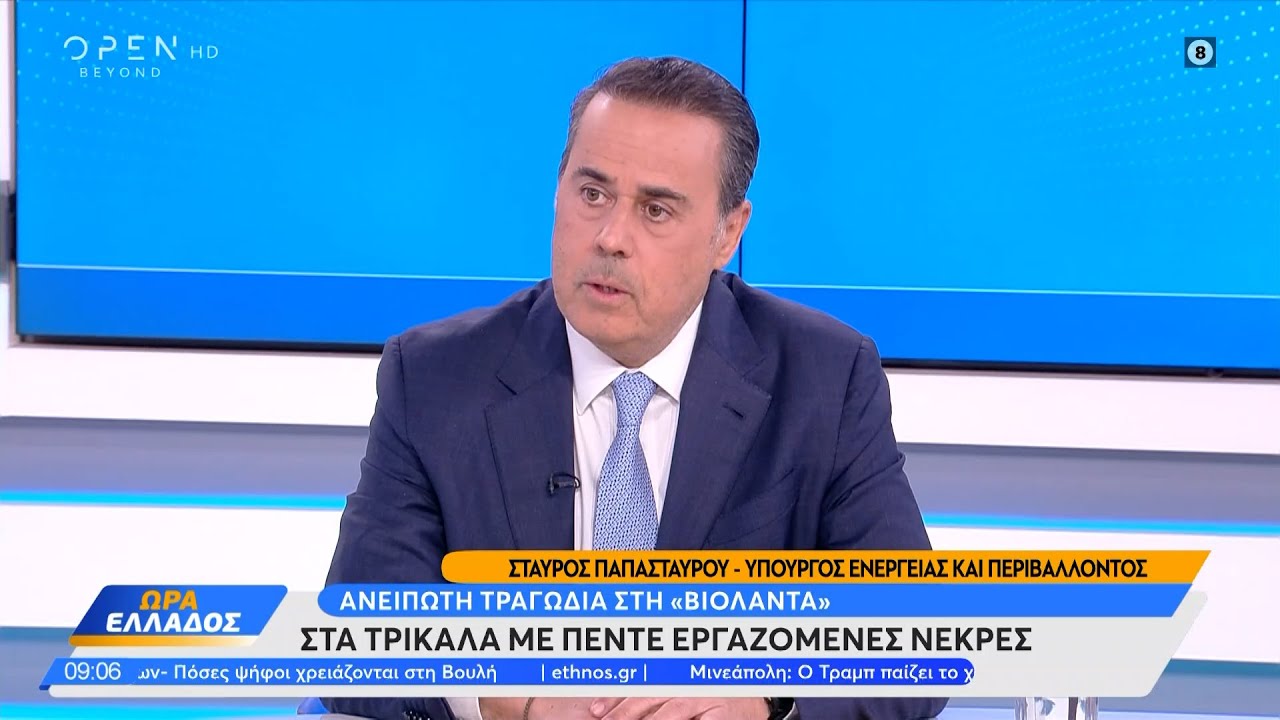 Σταύρος Παπασταύρου: «Η ενέργεια είναι η γέφυρα συνεργασίας μεταξύ Ευρώπης και Αμερικής» | OPEN TV