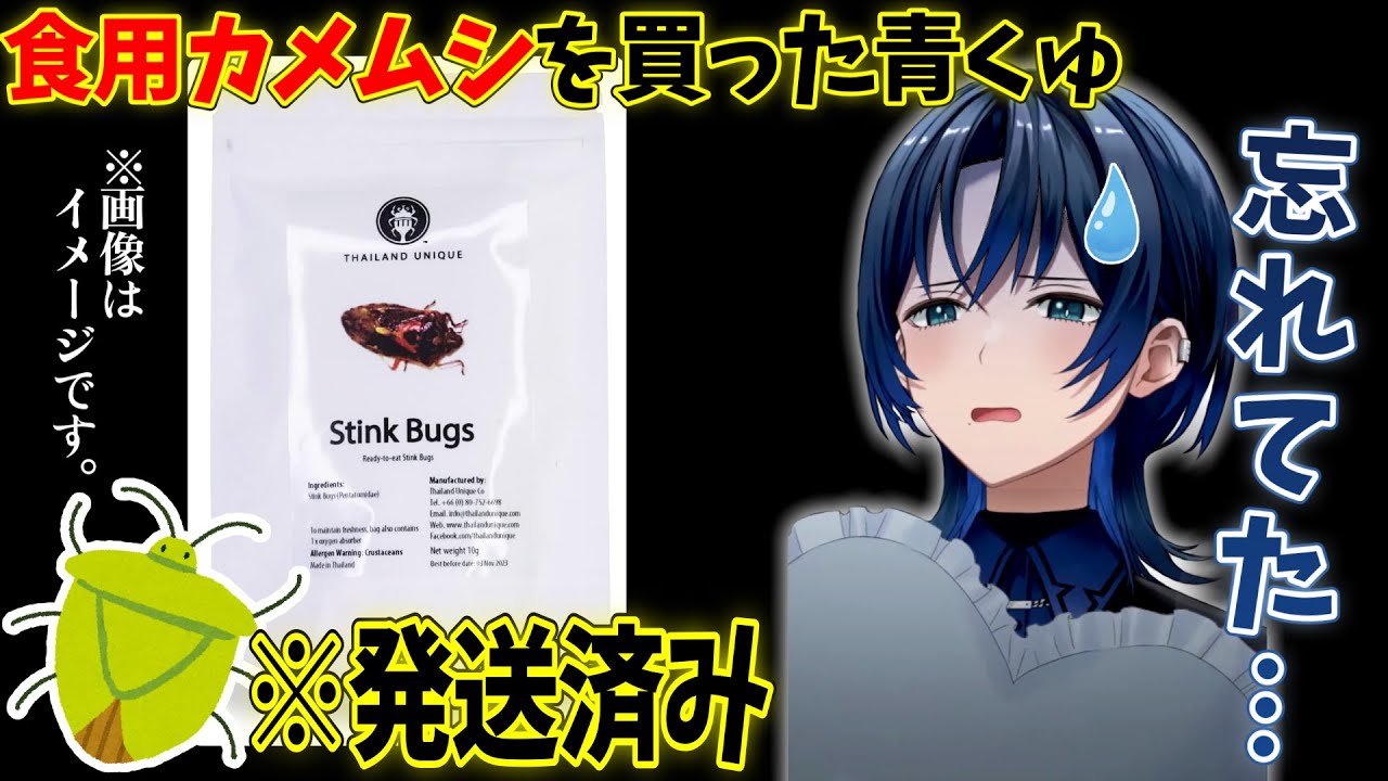カメムシ買ったのを忘れてた青くゅｗ【ホロライブ切り抜き/火威青】