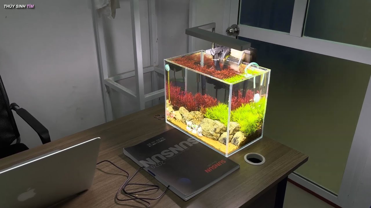 Trang trí Bể thủy sinh đẹp rực rỡ sang trọng trên bàn làm việc