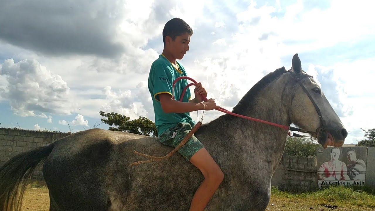 COMO MONTAR E ANDAR A CAVALO NO PELO