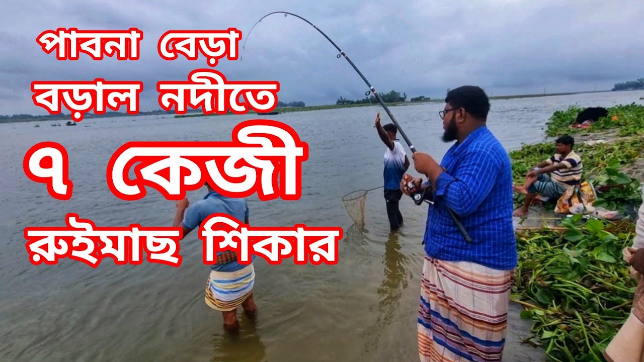 বড়াল নদীতে রুই মাছ ধরা 🎣 বড়াল নদীতে মাছ শিকার  Fishing Video | Rohu fish hunter | Fishing BD Fast Tv