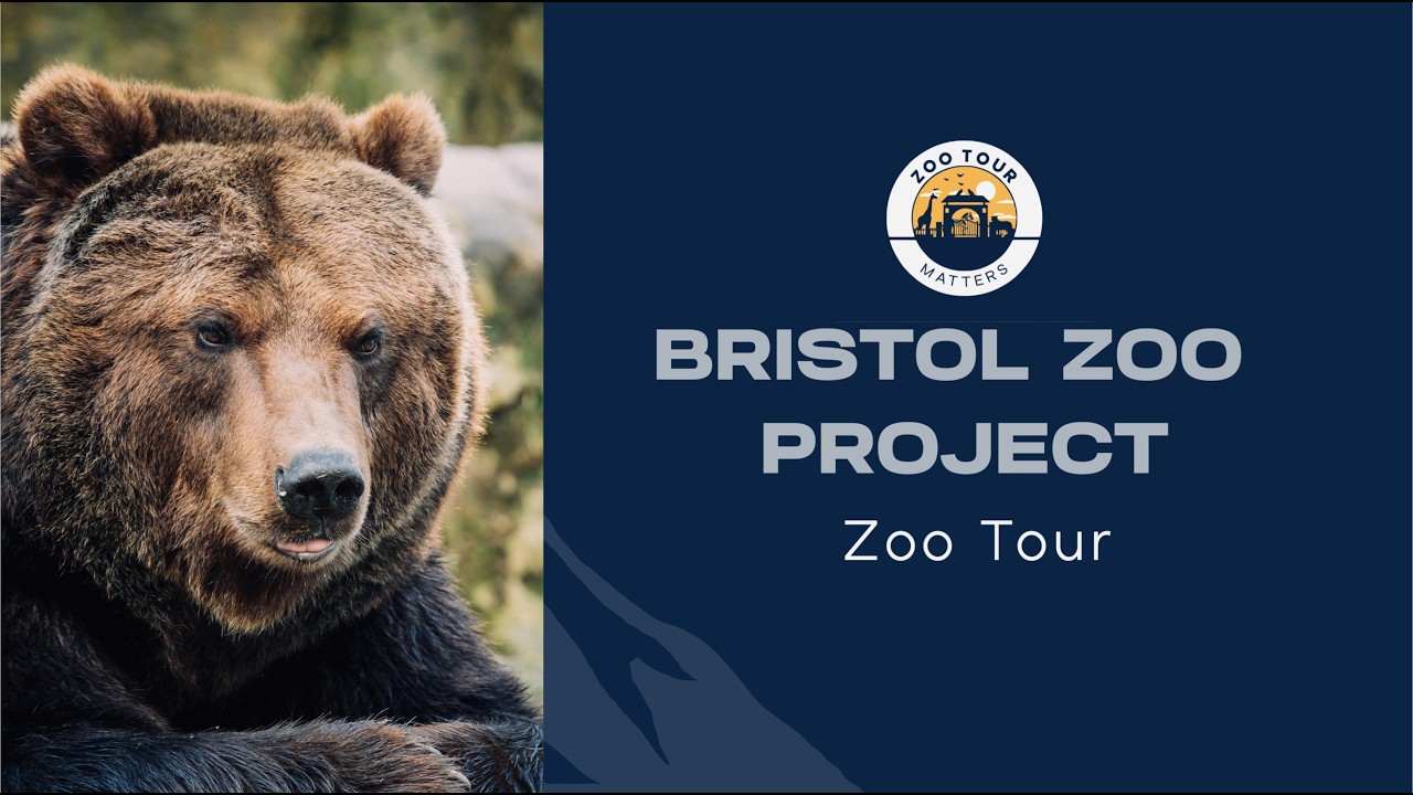 Экскурсия по Bristol Zoo Project &mdash; лучший вольер в Великобритании?