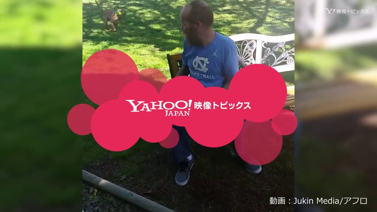 長期入院していた主人と再会&hellip;犬の反応