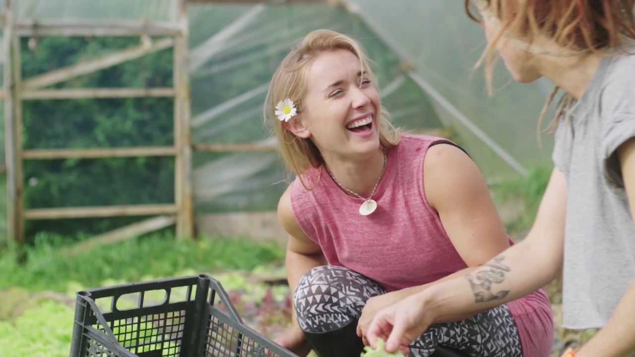 Welcome to Finn's World Part 2: Do what you love. Love what you eat.