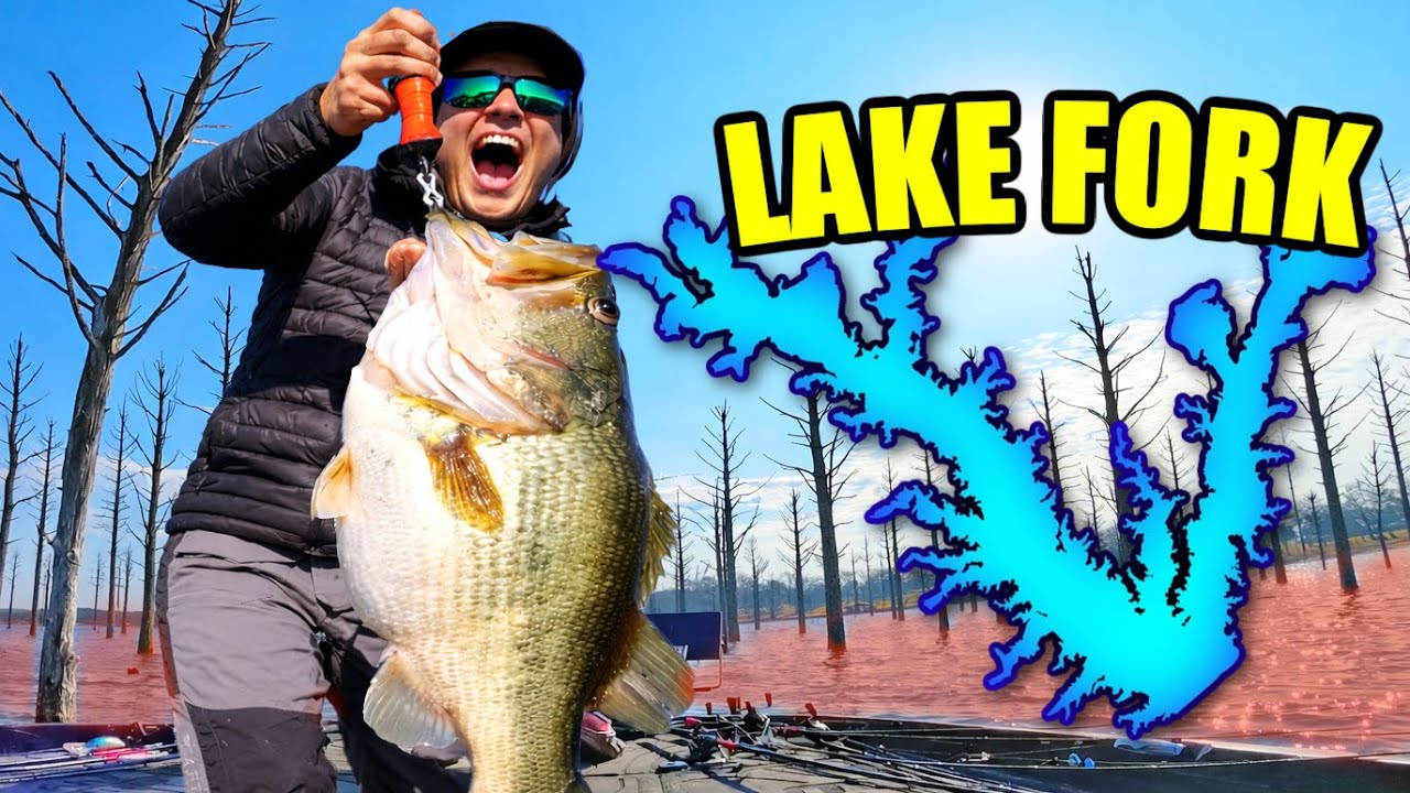 Goal SMASHED!! The Texas State Record Bass Lives Here!