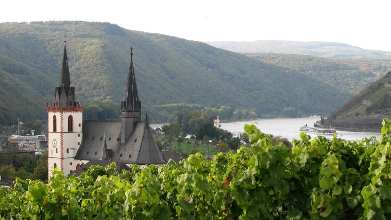 Bingen am Rhein Basilika St. Martin Plenum