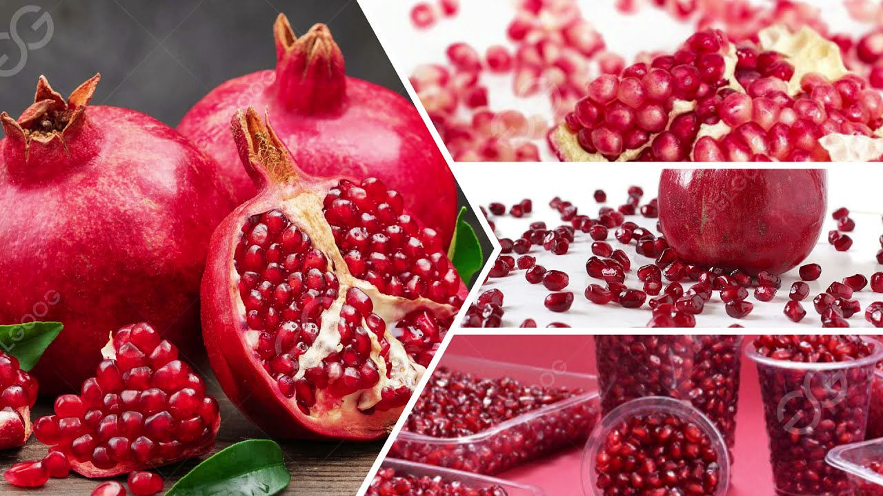 Complete Pomegranate Processing Plant Business Plan Pomegranate Peeling Washing Machine