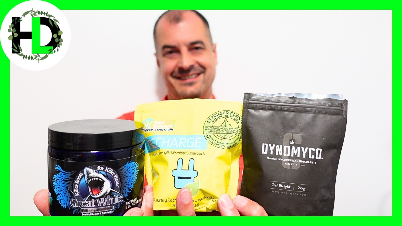 Great White против Recharge против Dynomyco: какой микробный инокулянт лучше?