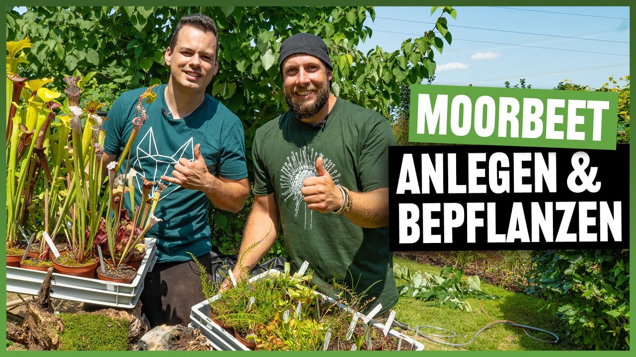#143 Ein Moorbeet ensteht - winterharte fleischfressende Pflanzen im Garten, so wird´s gemacht