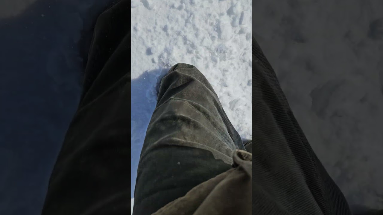 Прогноз погоды из Висконсина! #сельскоехозяйство #трактор #зима