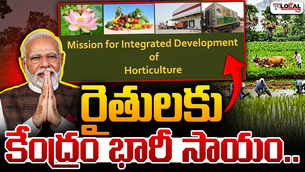 రైతులకి మోడీ గుడ్ న్యూస్..| Mission for Integrated Development of Horticulture Scheme | Pura Local