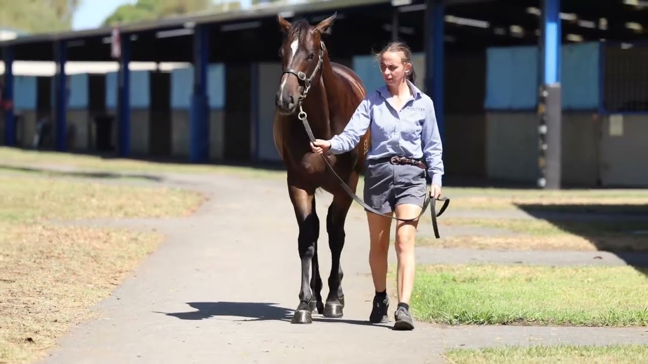 Lot 795 Inglis Premier Sale