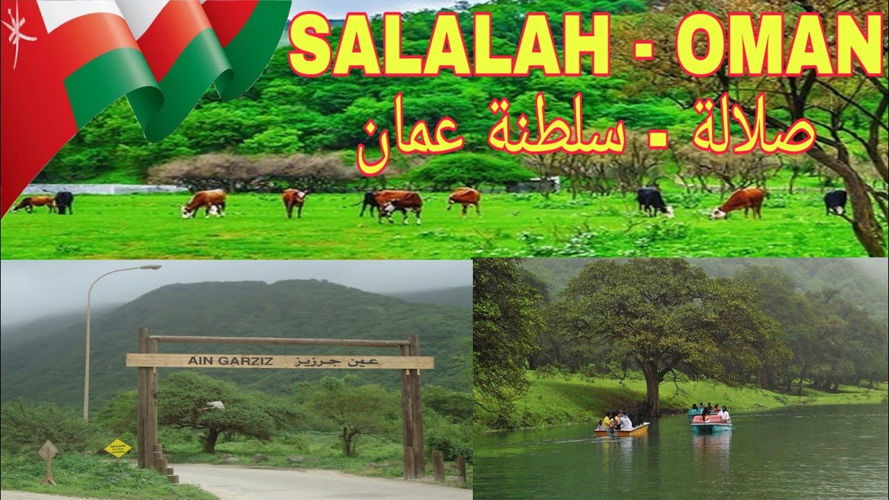 Salalah Oman | صلالة | عمان | Oman Travel | Autumn season | Travel vlogs | videos | Must watch