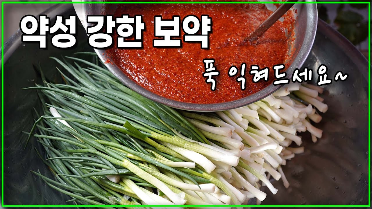 진짜 이게 제대로된 맛과 향을 내는 파김치 입니다