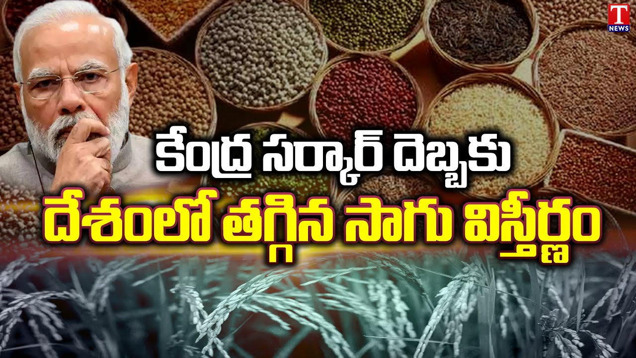 Central Government Open import policy is hurting farmers | Lentil & Pulses at High Cost | T News