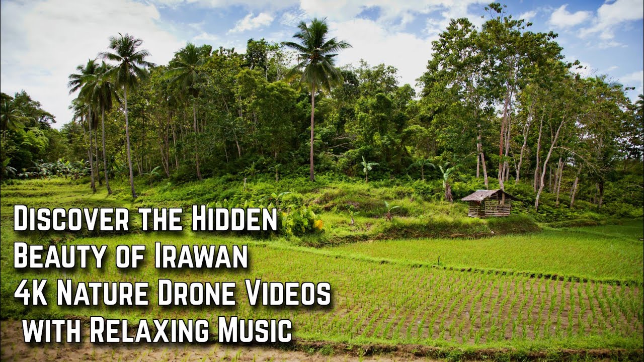 Discover the Hidden Beauty of Irawan | 4K Nature Drone Videos with Relaxing Music