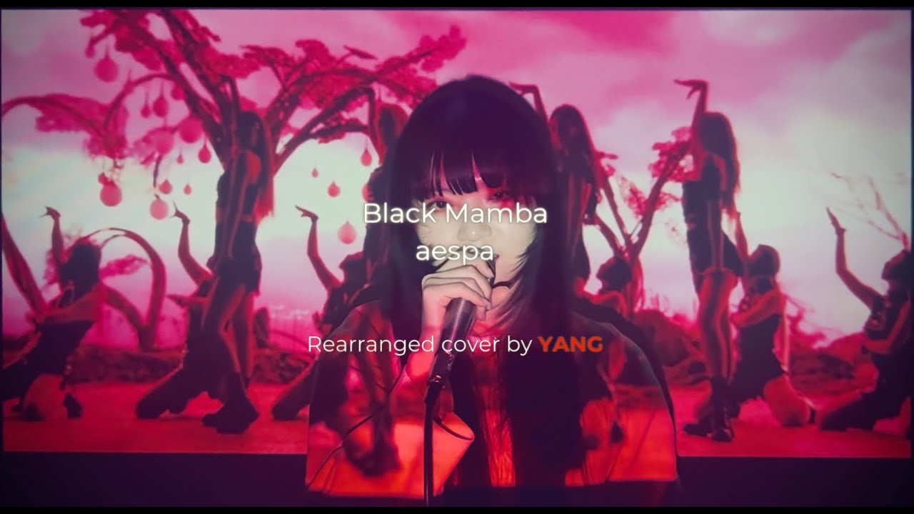 aespa 에스파 'Black Mamba' BUT R&B?? Rearranged Cover by YANG from China🐼