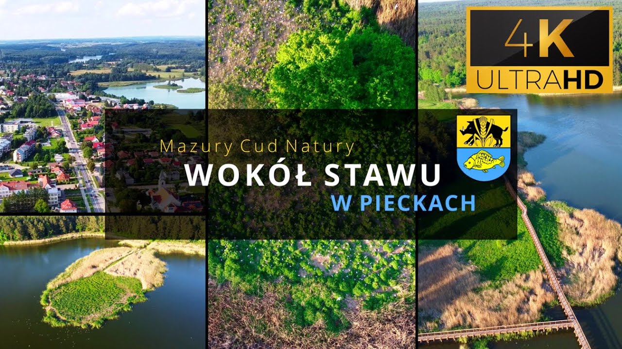 Mazury - Ścieżka edukacyjna wokół stawu w Pieckach. Ptasia wyspa Piecki. Stawek w Pieckach.