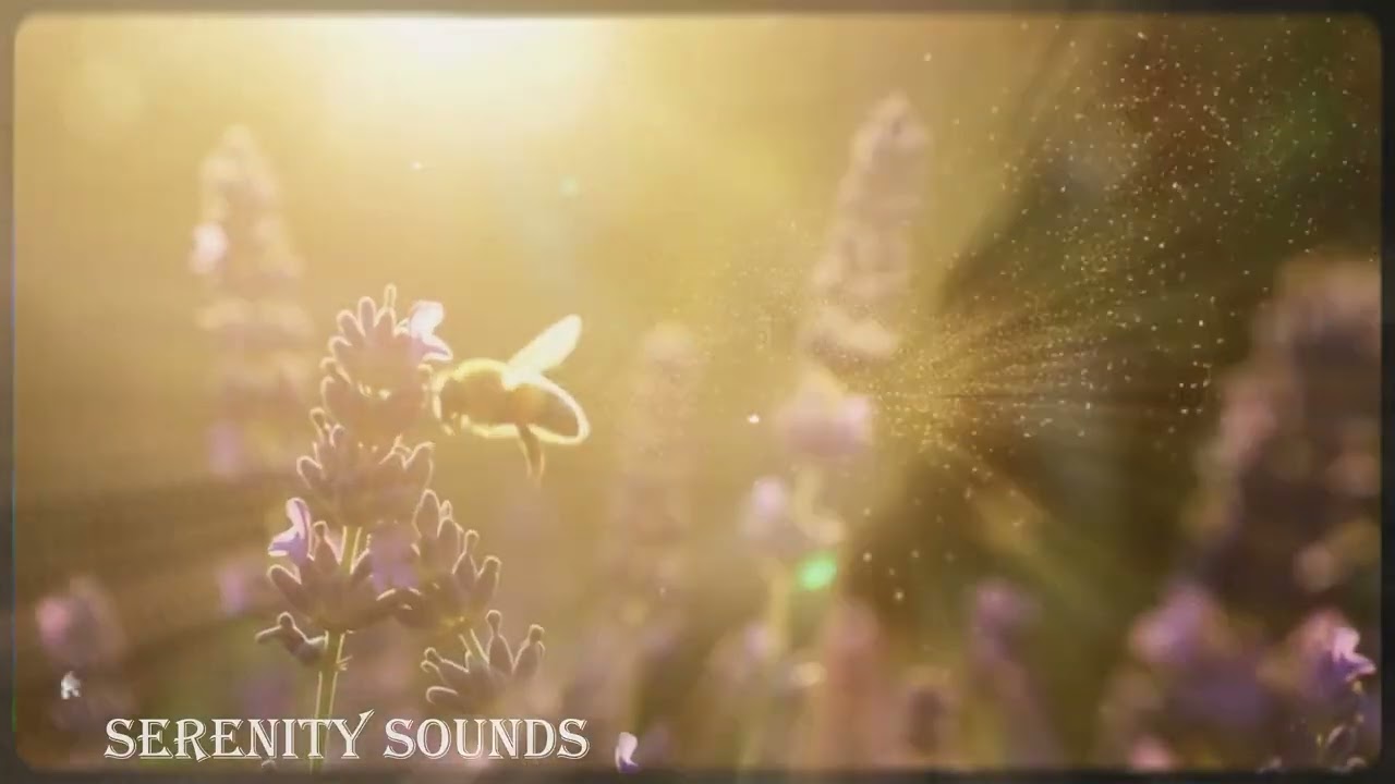SOFT HEALING SOUNDSCAPE FOR RESTFUL SLEEP | Serenity Sounds