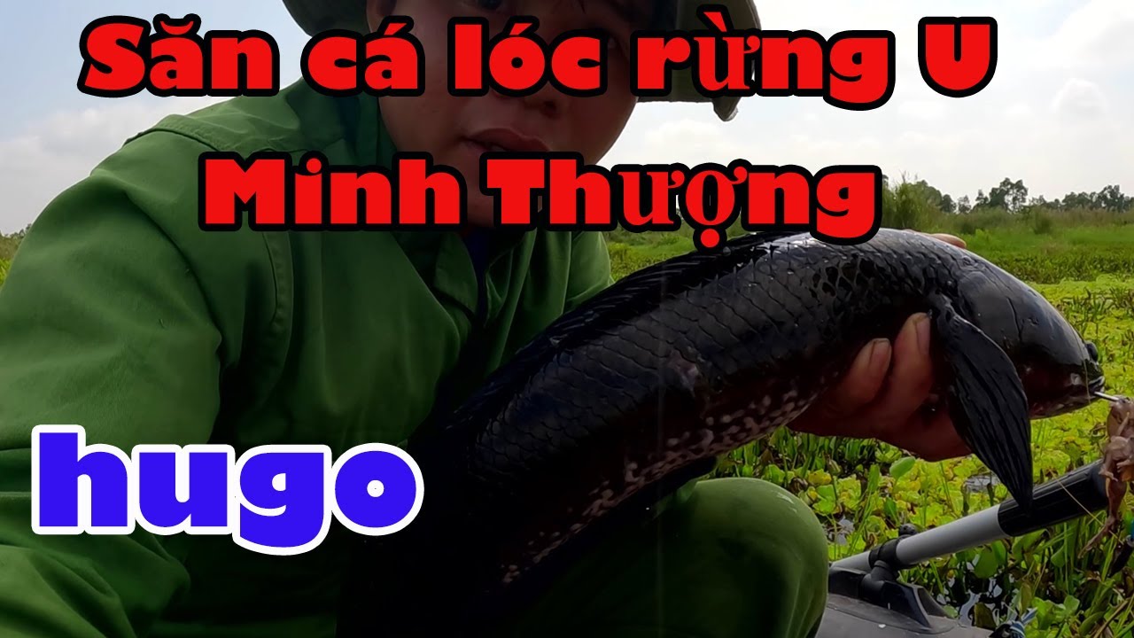 Hành trình săn cá lóc Đen Hugo Tập 76