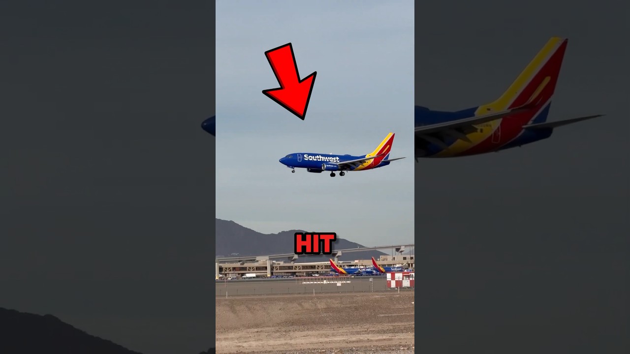 Runway Emergency Pilot's Unbelievable Reaction
