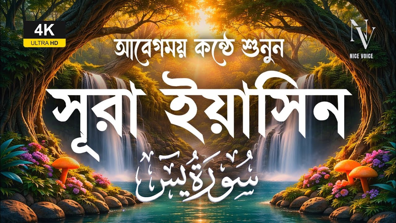 আবেগময় কন্ঠে শুনুন সূরা ইয়াসিন 💞 | Surah Yaseen | Quran Tilawat | Alaa Aqel | Nice Voice