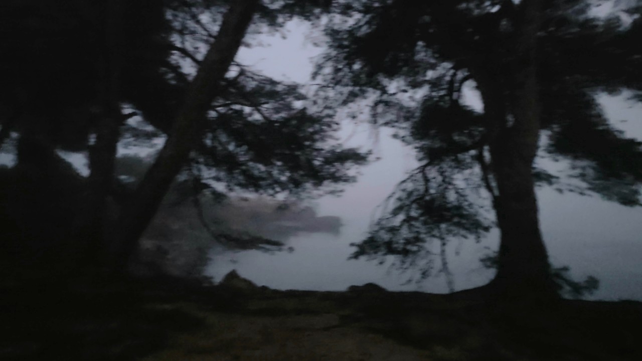 What Lives in the Mysterious Fog? | Mallorca | Part 1 | RevealHorizons.visuals