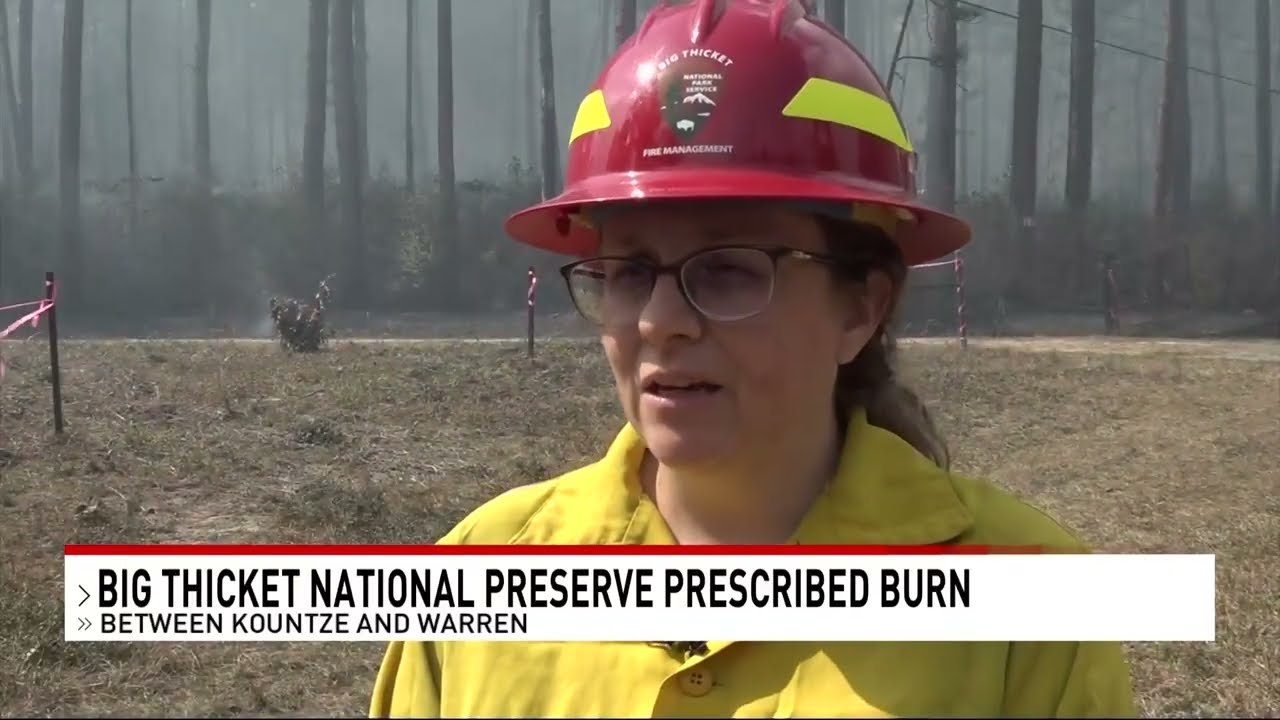 Prescribed Burn Underway in Big Thicket National Preserve to Prevent Wildfires