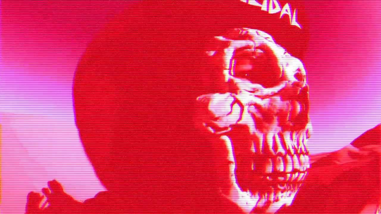 FIDLAR - Wake Bake Skate (Official Music Video)