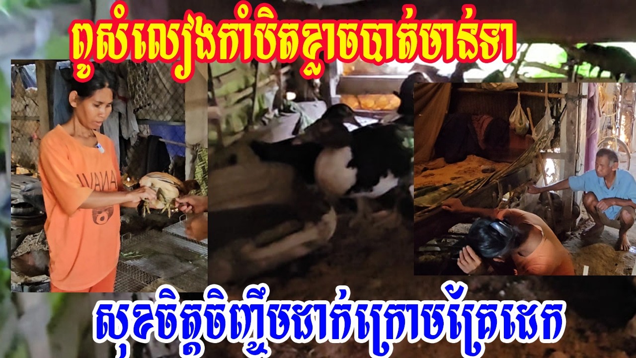 #life of the poor in Cambodia