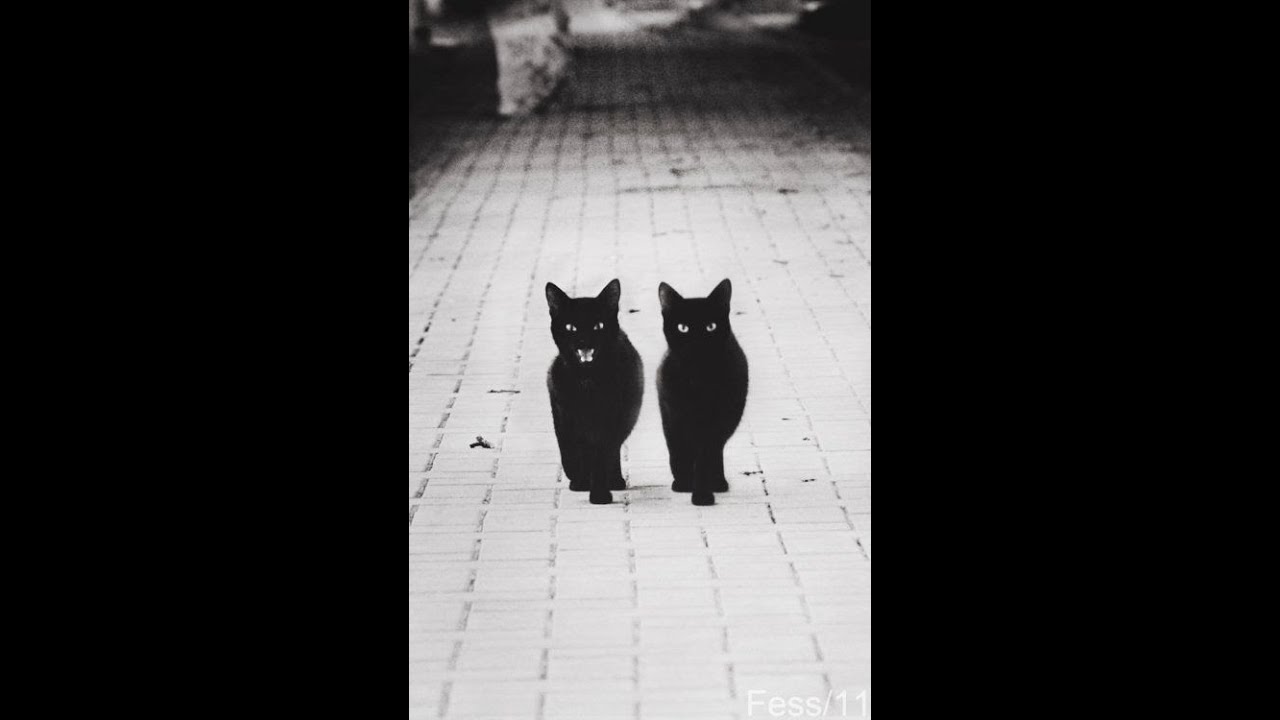 Hardtekk Eggi Mee @Erfurt-Tekk 2020 Sie SoLLtE iHn eiNe ChAnCe MeHr GeBeN ***JMB***