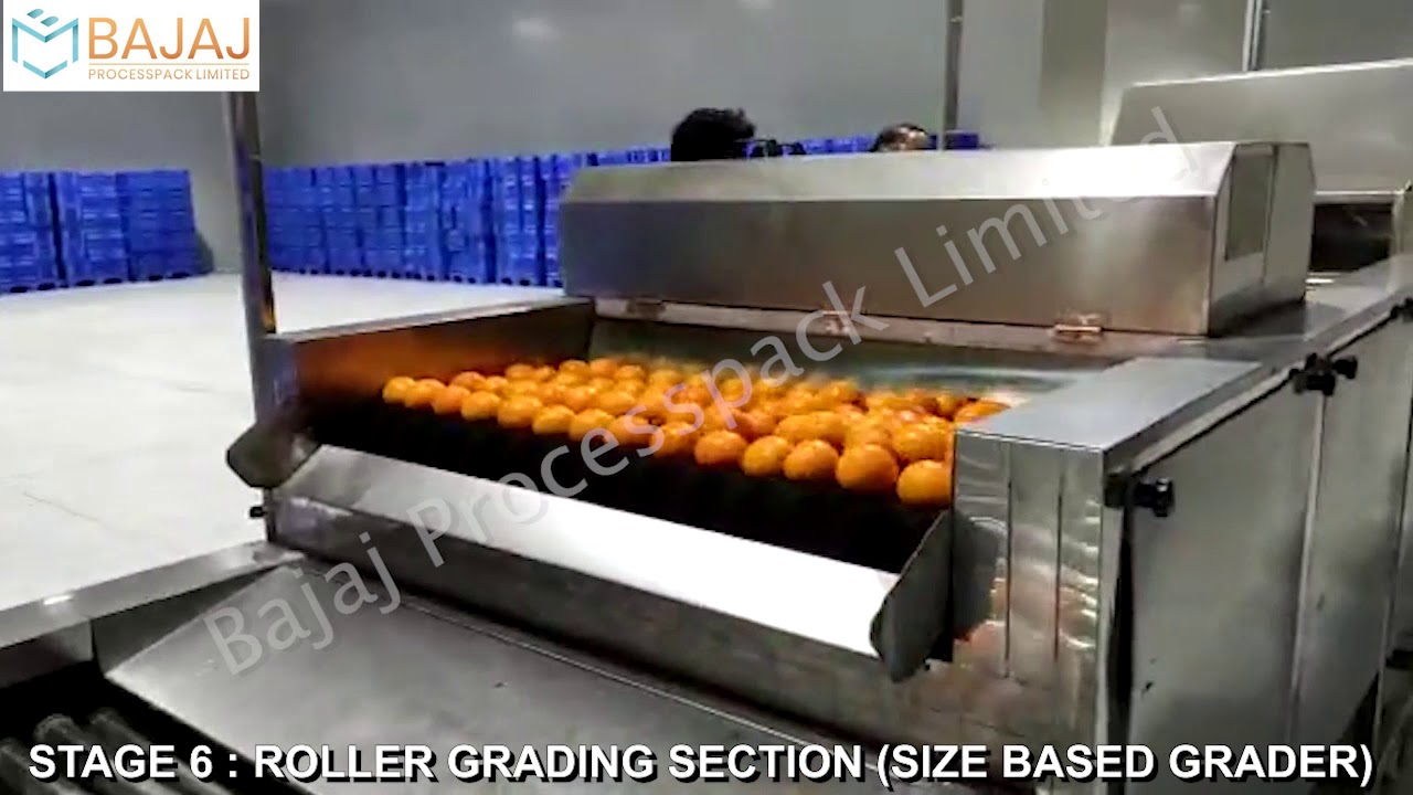 Sorting & Grading machine for fruits and vegetable.