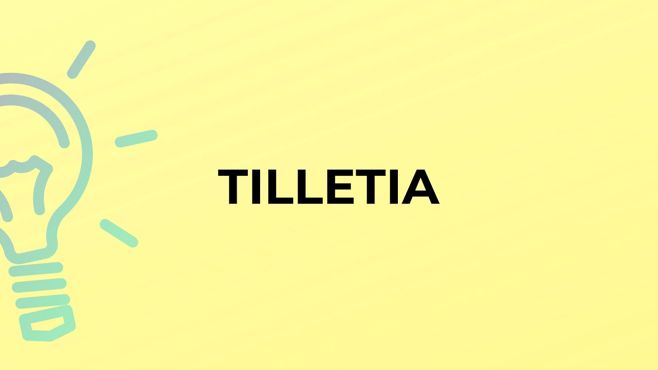 What is the meaning of the word TILLETIA?