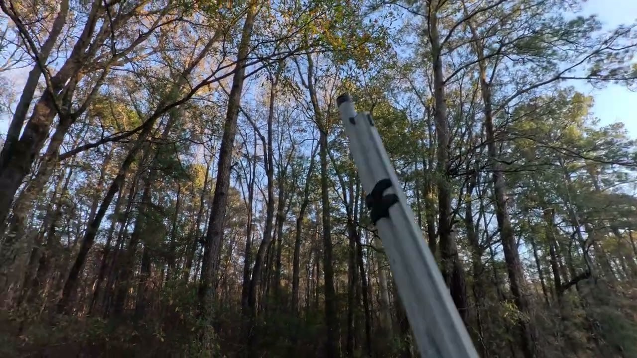 1/1/2026 Bowman, sc  bay hunt part 2