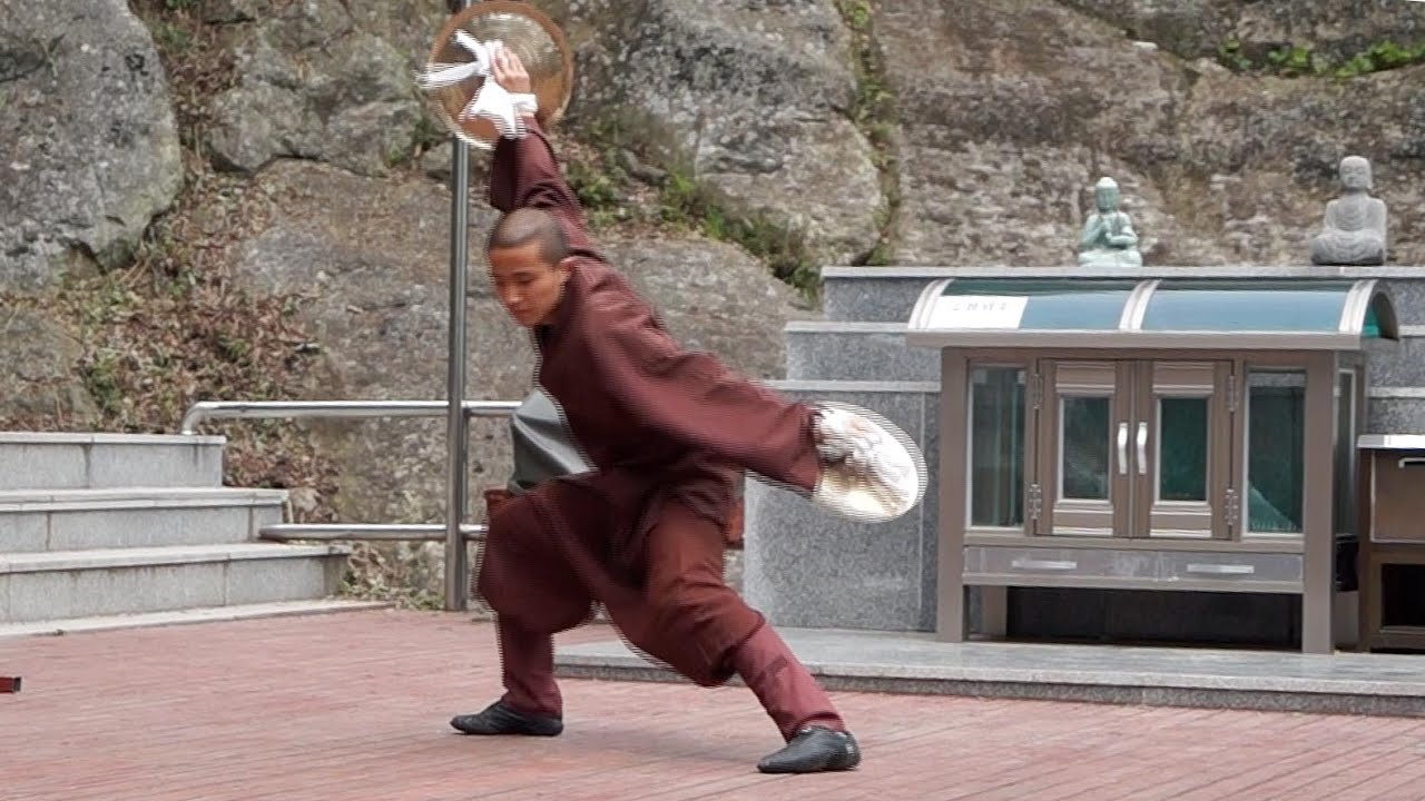 Seonmudo (Zen martial arts) (2)