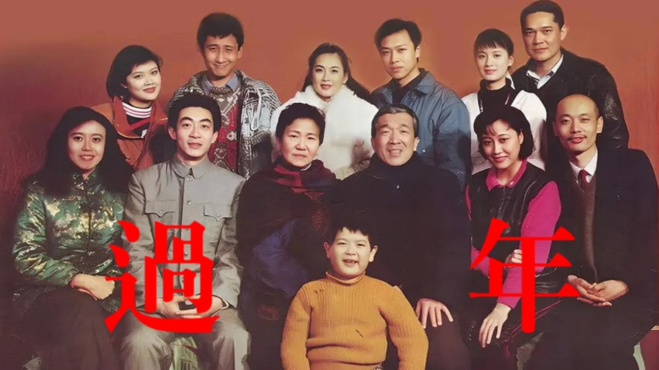【豆瓣9分的华语经典】《The Spring Festival》「赵丽蓉 / 李保田 / 葛优 / 六小龄童大咖倾情出演！中国人回家过年，是温暖团聚，还是旧事重提？」#剧情 #家庭 #华语电影