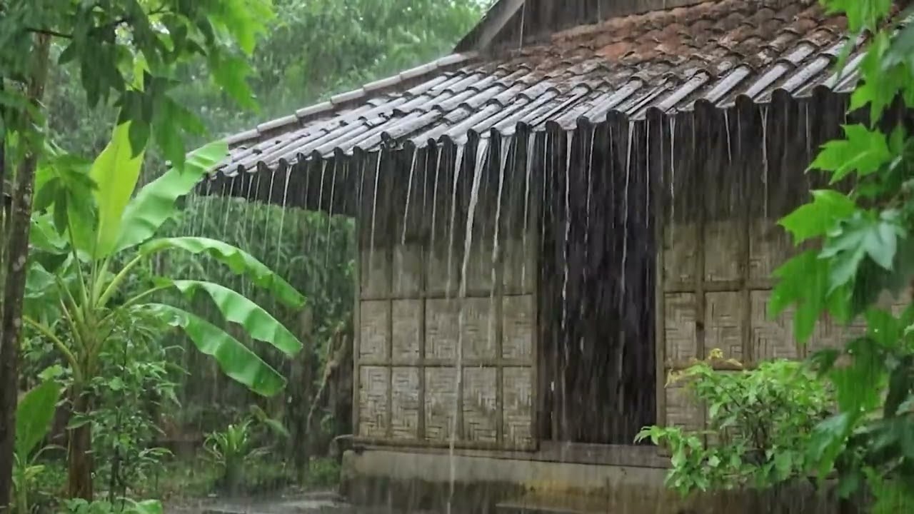 ASMR Heavy Rain Sounds for Instant Sleep & Calm Mind