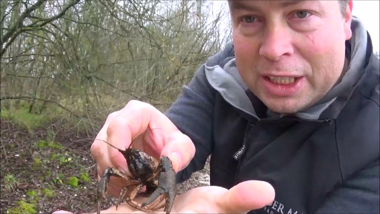 Rivierkreeften vangen #1