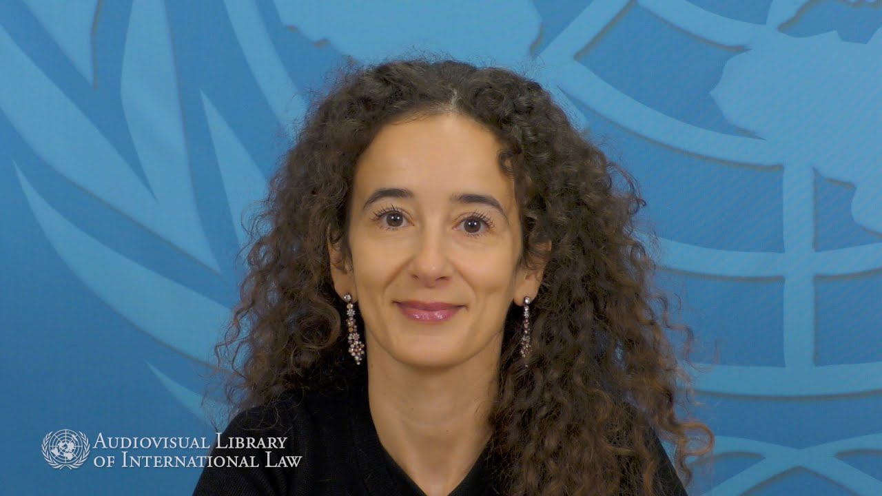 H&eacute;l&egrave;ne Tigroudja on Les syst&egrave;mes universels et r&eacute;gionaux de protection des droits de l'homme