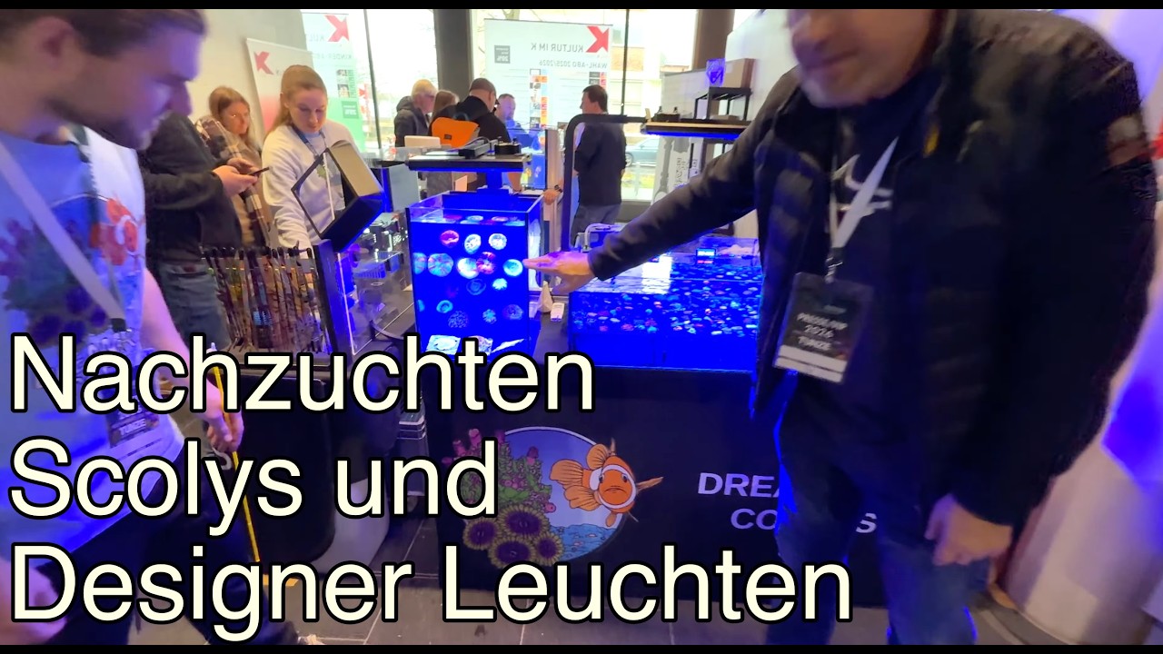 Reefmania: Dreamreef Corals| Korallen |Nachzuchten |Designerleuchten für Korallenfans