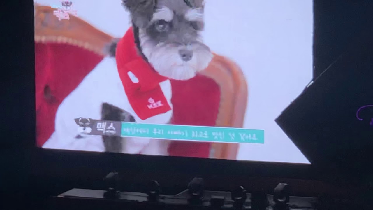 박지훈 팬미팅 VCR 전지적 맥스 시점