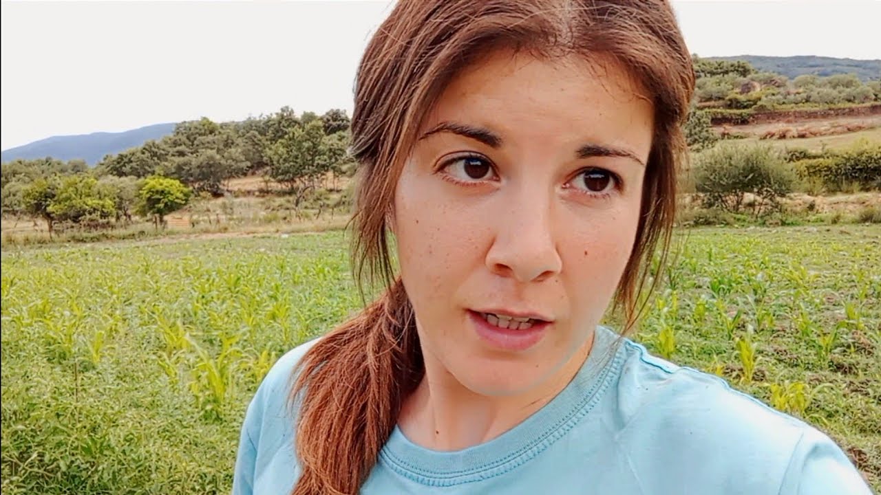 Voy a hacer un experimento con las tomateras, a ver qué pasa