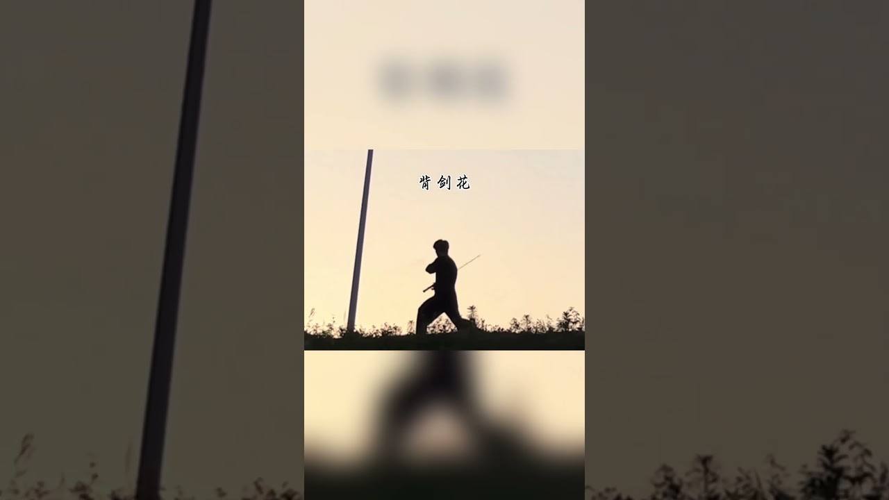 今日就把这套纯阳剑法传授与你！ #kungfu #武术 #sword #剑术