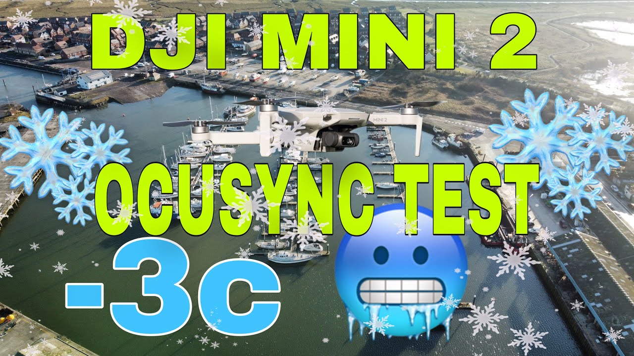 DJI MINI 2 | OCUSYNC TEST