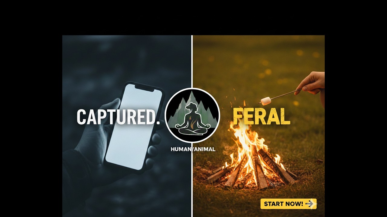 The Feral Challenge: One Decision to Find Your Feral Spark