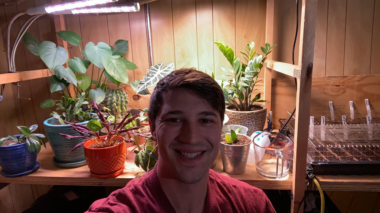 Live Houseplant Grow Light Giveaway! + Q&A🌿