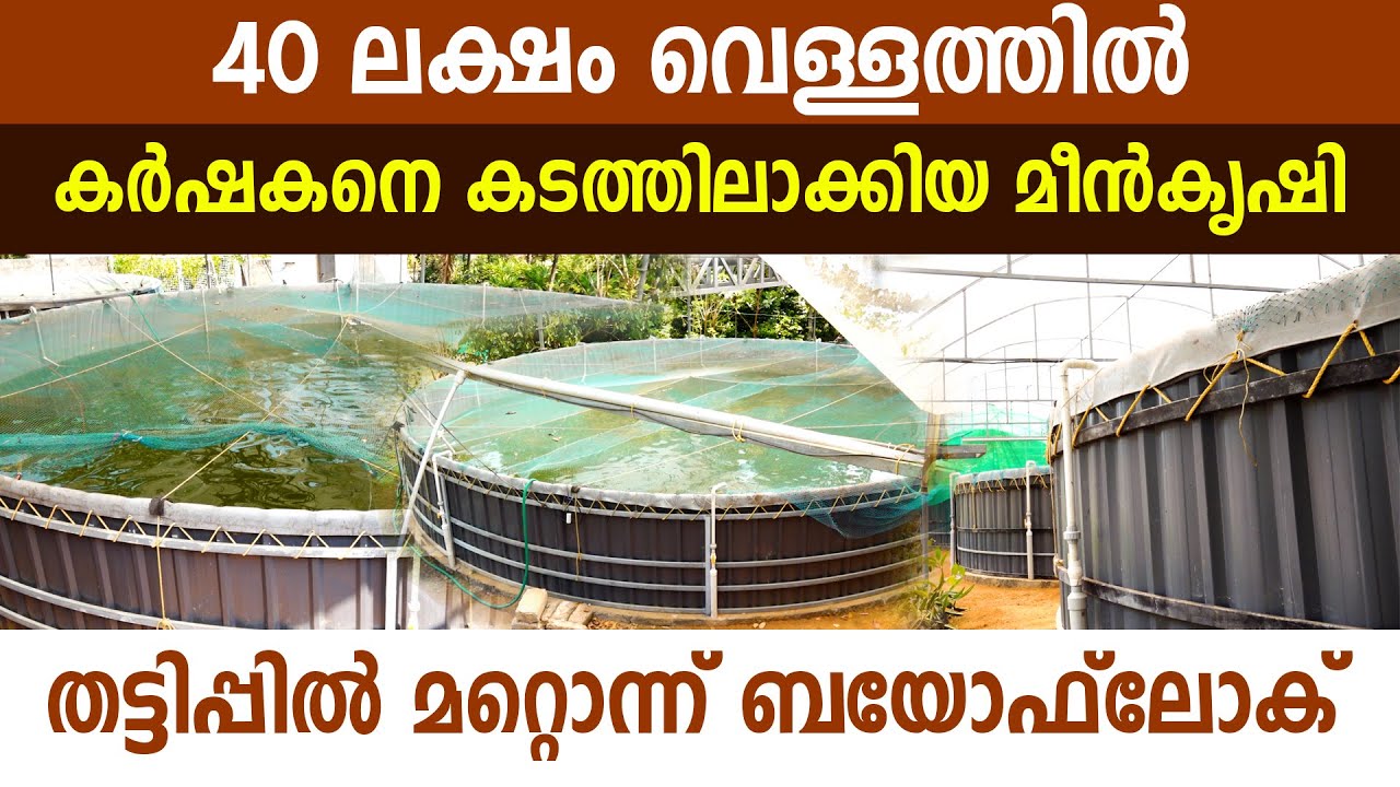 ബയോഫ്ലോക് എന്ന ചതിക്കുഴിയിൽ വീണ മാത്യുവെന്ന കർഷകൻ I Biofloc I Bioflock Demerits I